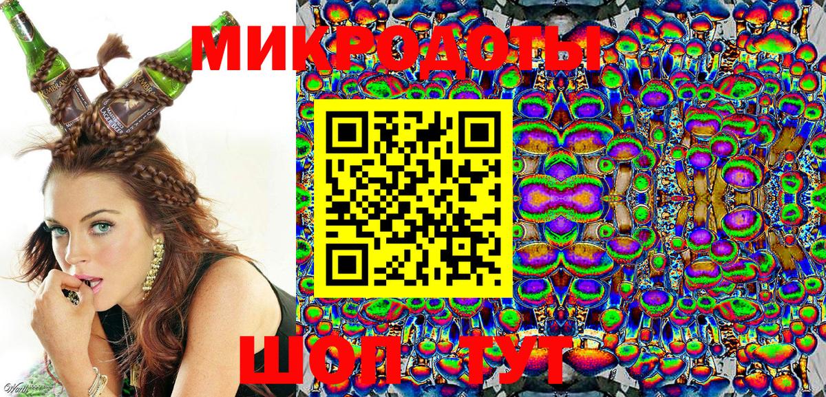 Галлюциногенные грибы Psilocybe Димитровград