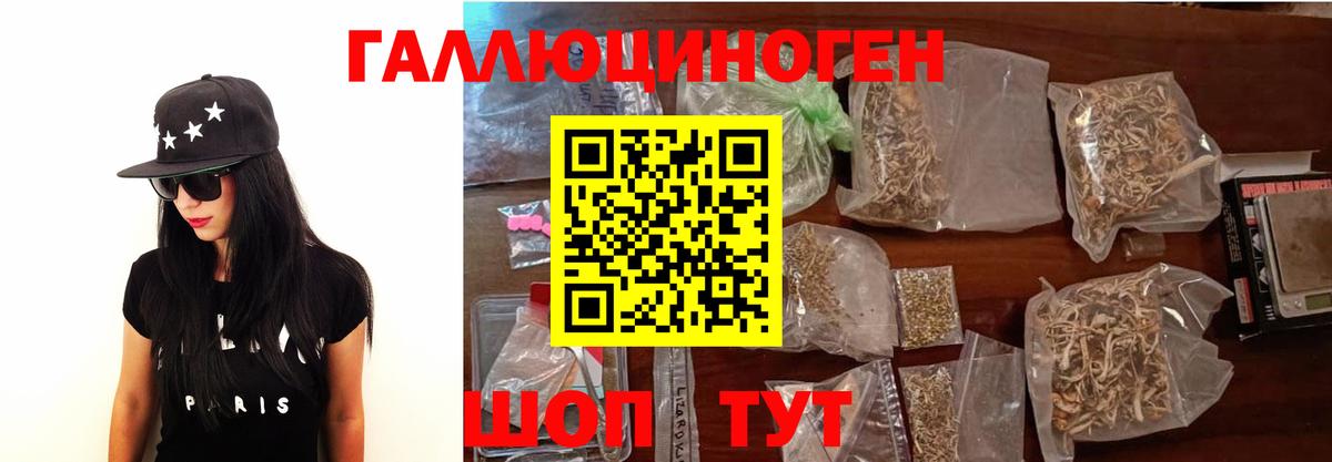 Галлюциногенные грибы Psilocybine cubensis  Вход с VPN  Димитровград 
